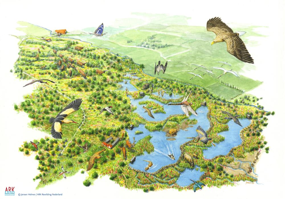 Illustratie toekomstbeeld De Luysen