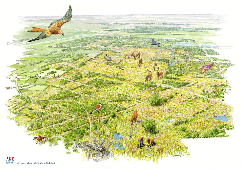 illustratie toekomstbeeld De Maashorst