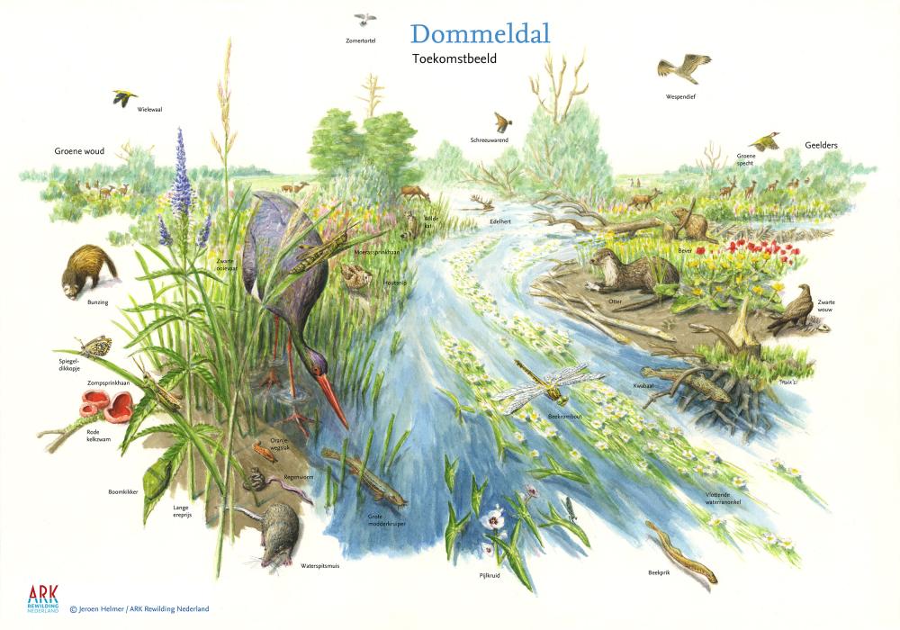 illustratie toekomstbeeld Dommeldal