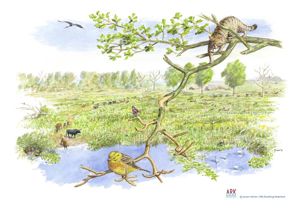 illustratie toekomstbeeld Stramprooierheide