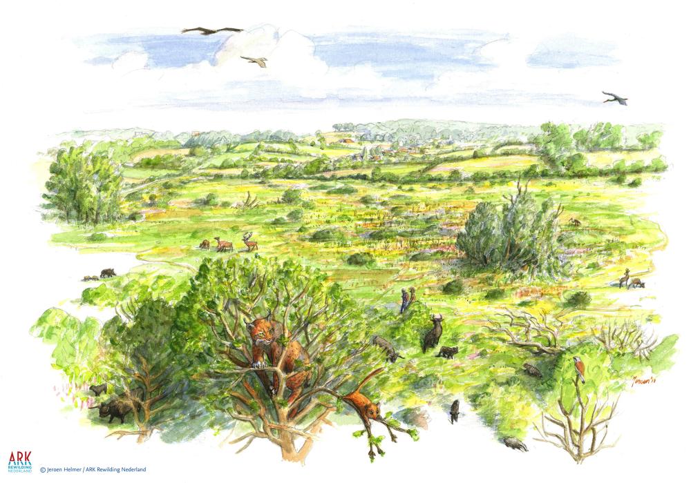 illustratie toekomstbeeld Vaals