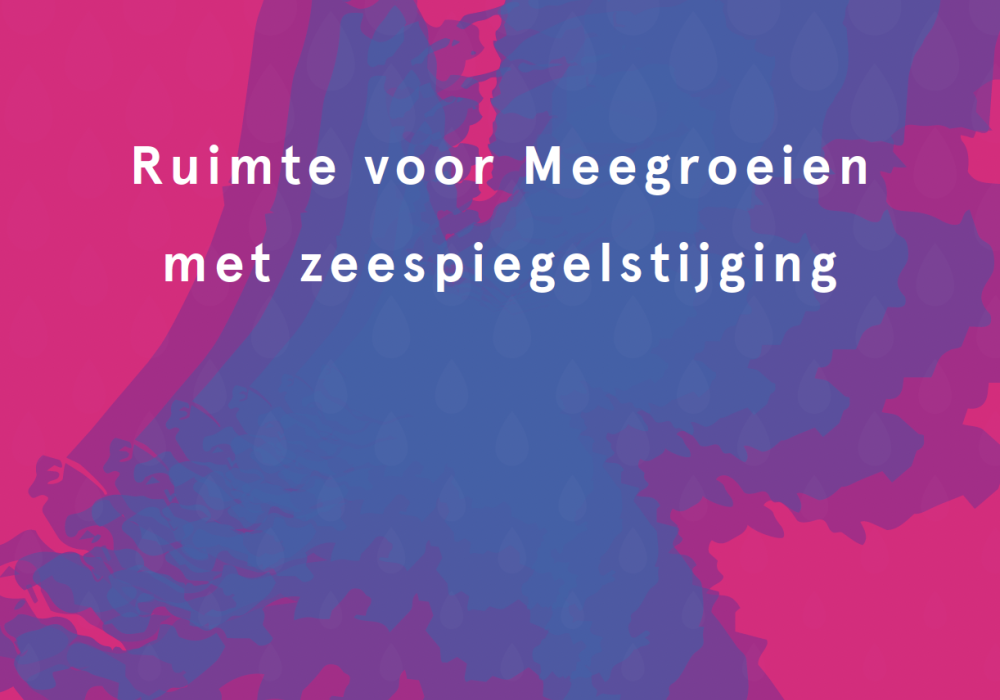Ruimte voor Meegroeien met zeespiegelstijging